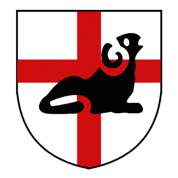 Derby City RLFC logo